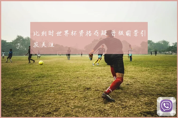比利时世界杯资格存疑 晋级前景引发关注