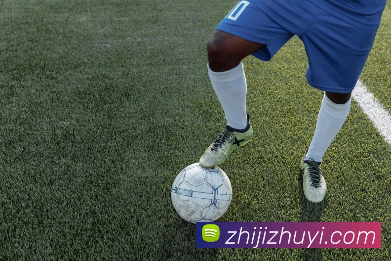 奖项证书